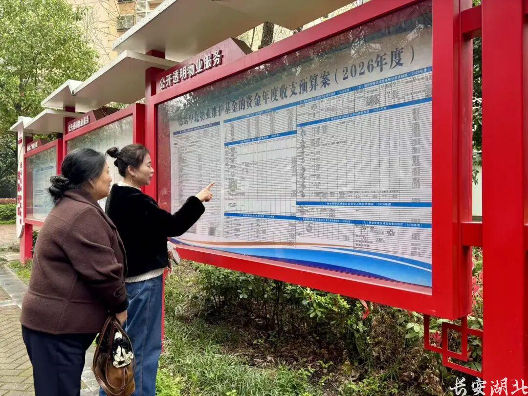 武昌区政法委-锦绣中北小区居民查看物业收支预算.jpg
