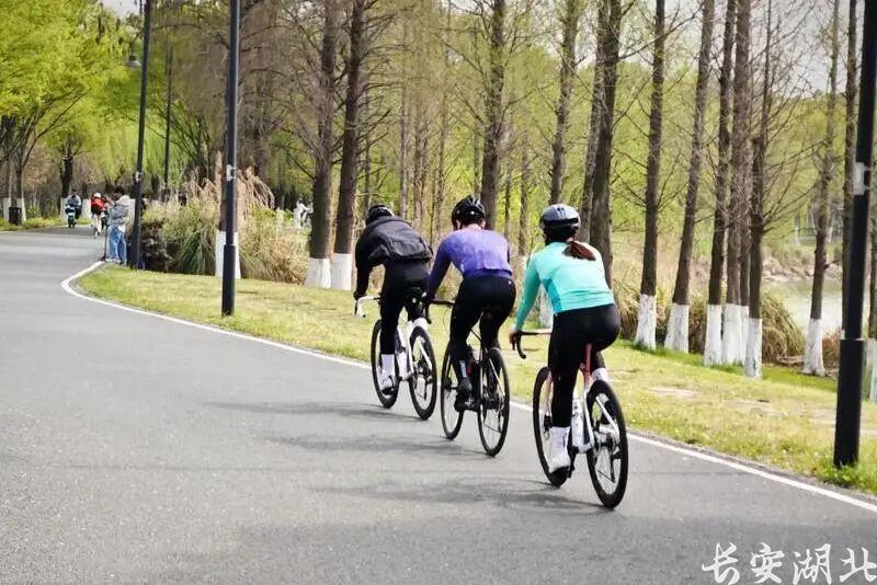 东湖高新法院-3名骑友撞出4万元账单2.jpg