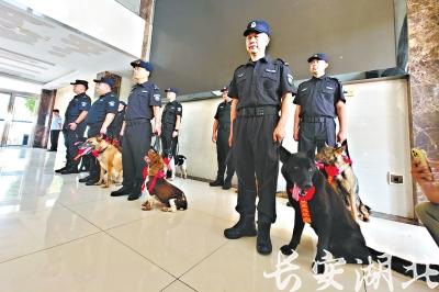 市公安局2-警犬基地为警犬举行退役暨领养交接仪式.jpg