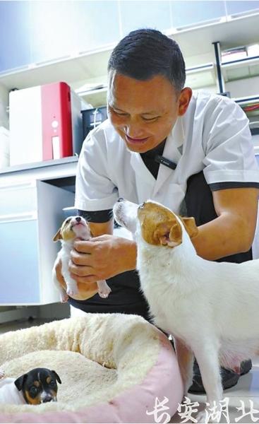 市公安局3-华旭东在照料新生警犬幼崽.jpg