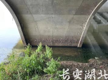 QQ浏览器截图20230920173853.png