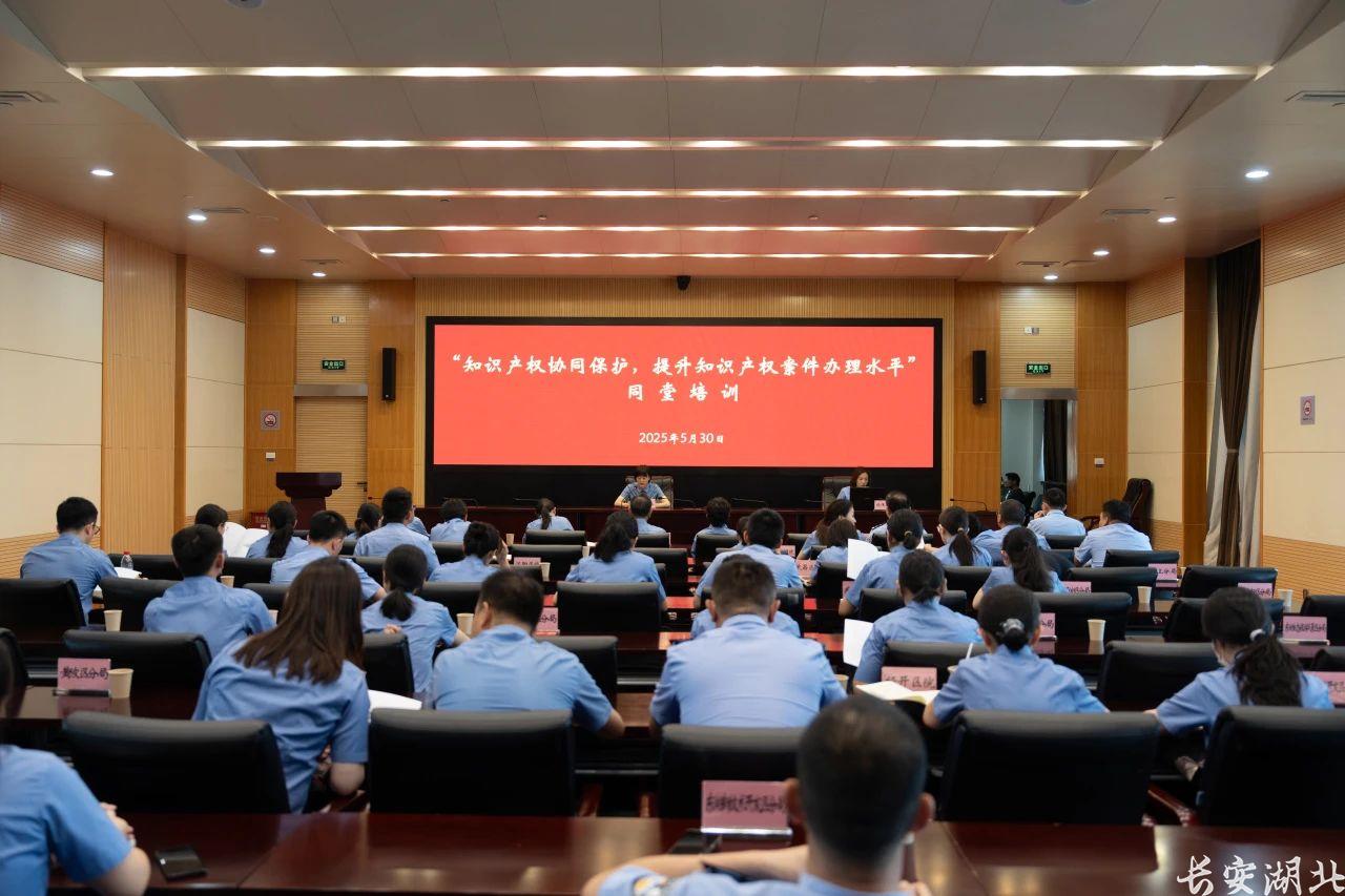 微信图片_20250530170754.jpg